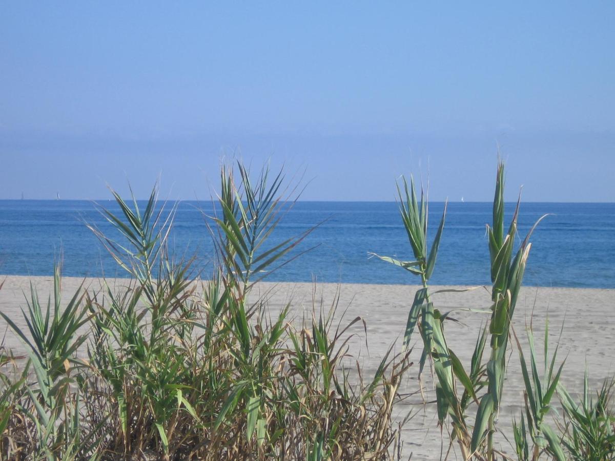 Studio Vue Sur La Mer Au 6Eme Et Dernier Etage Canet-en-Roussillon Dış mekan fotoğraf